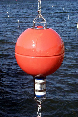 Workhorse 300 ADCP