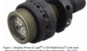 LED-Multi SeaLite Image