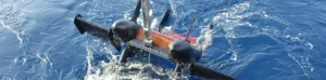 bellamare expertise
