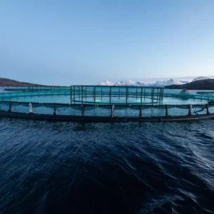 fishfarm for applications