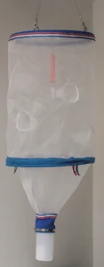 Plankton light Trap