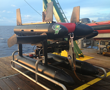 The University of Southern Mississippi: Boxkite model