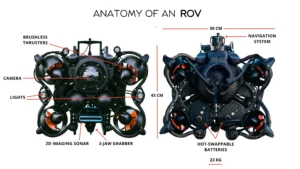ROV Anatomy