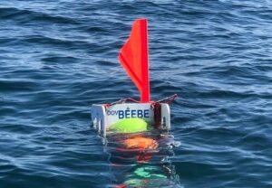 DOV beeb off la jolla